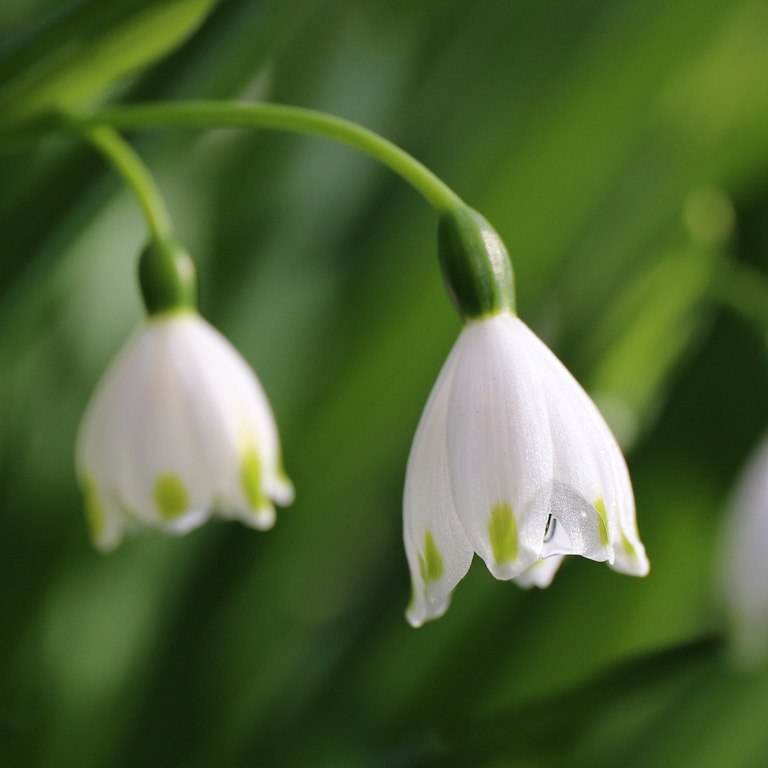 Digital Photography Course - 8 week - West Pymble