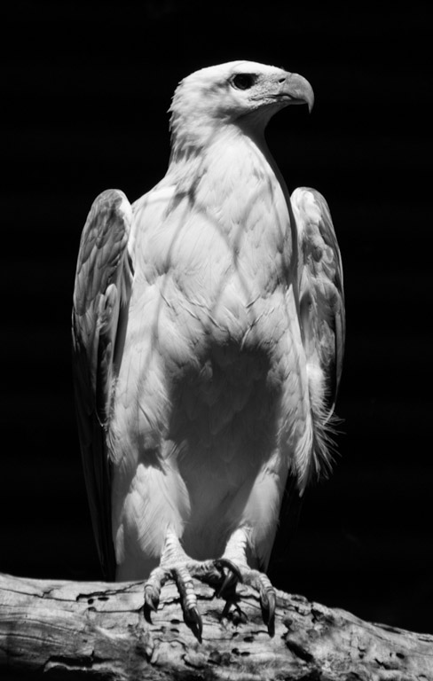 Digital Photography Course - 8 week - West Pymble