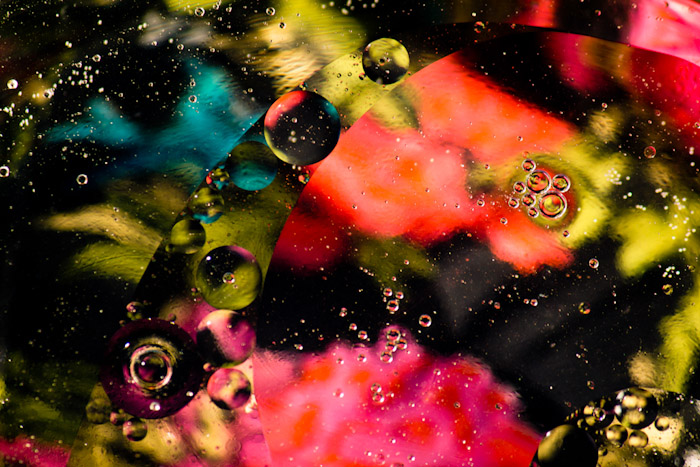 Digital Photography Course - 8 week - Alexandria
