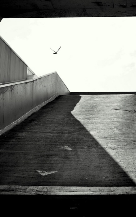 Digital Photography Course - 8 week - Alexandria