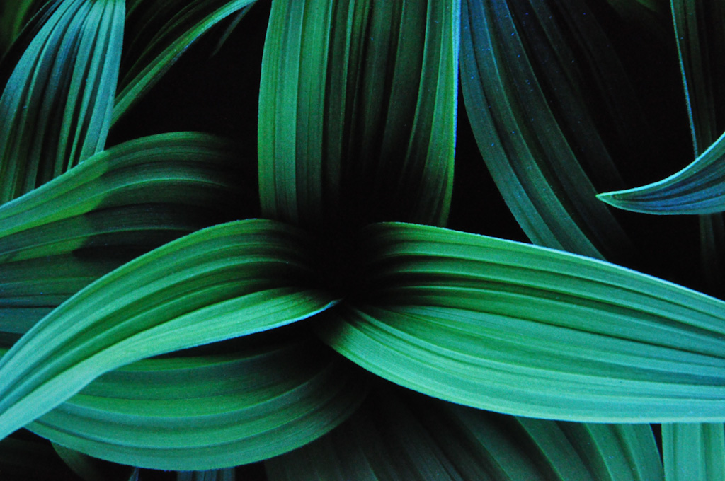 Digital Photography Course - 8 week - West Pymble