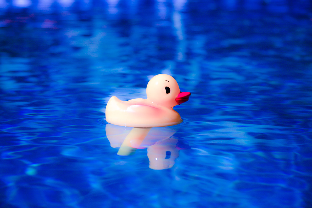 Digital Photography Course - 8 week - West Pymble
