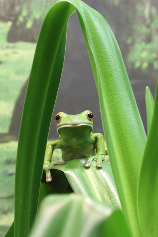 Digital Photography Course - 8 week - West Pymble