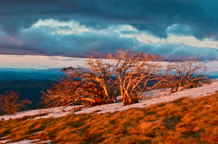 Digital Photography Course - 8 week - West Pymble