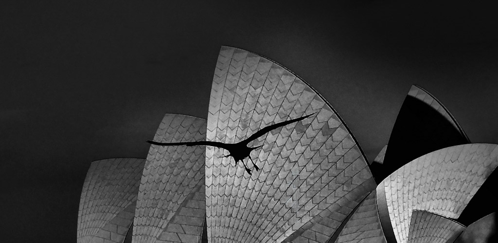 Digital Photography Course - 8 week - West Pymble
