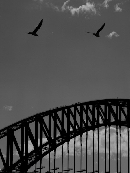 Digital Photography Course - 8 week - Alexandria