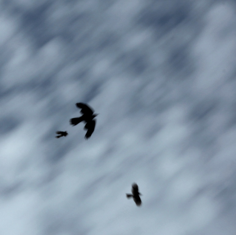 Digital Photography Course - 8 week - West Pymble