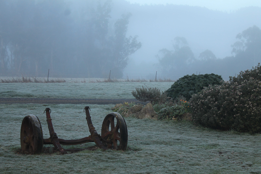 Digital Photography Course - 8 week - West Pymble