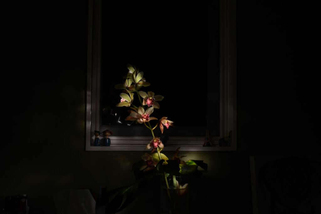 Digital Photography Course - 8 week - West Pymble
