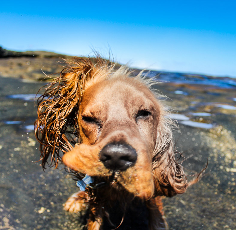 Digital Photography Course - 8 week - West Pymble