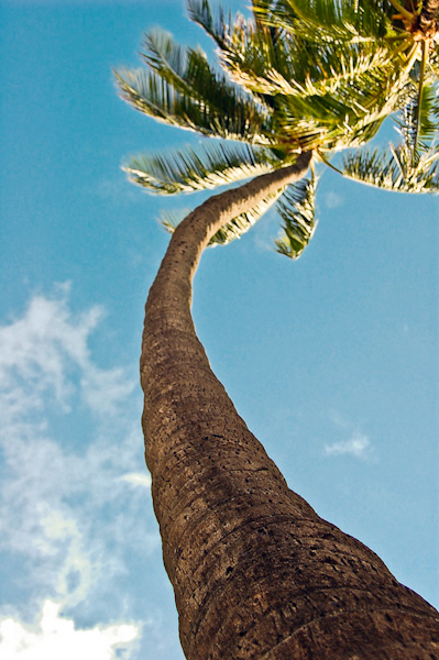Digital Photography Course - 8 week - Alexandria