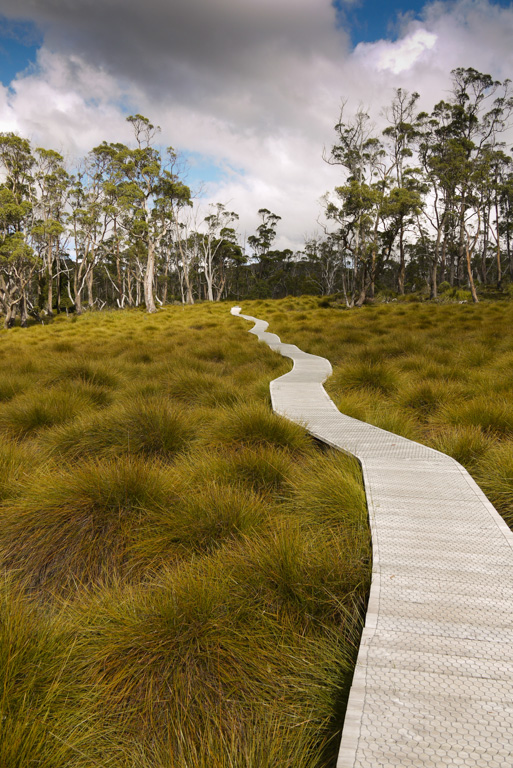 Digital Photography Course - 8 week - West Pymble