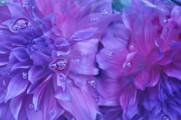 Digital Photography Course - 8 week - West Pymble