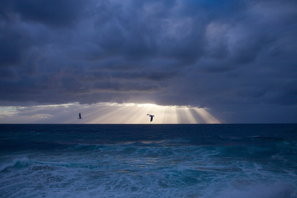 Digital Photography Course - 8 week - West Pymble