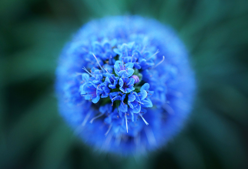 Digital Photography Course - 8 week - West Pymble