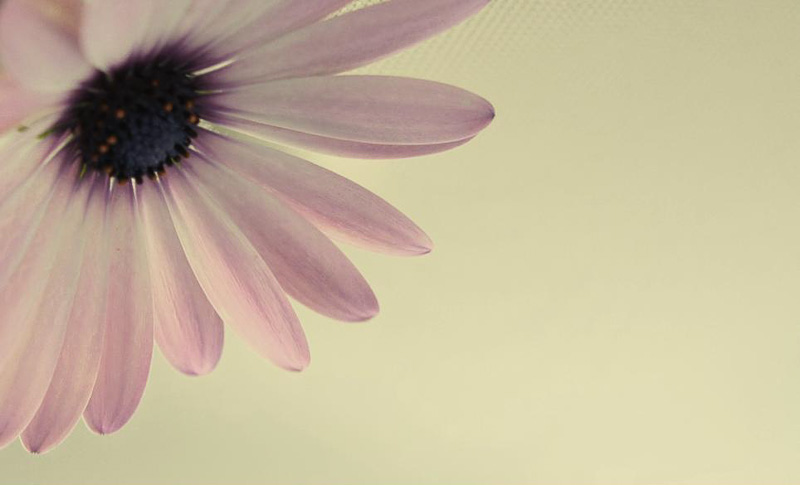 Digital Photography Course - 8 week - Alexandria