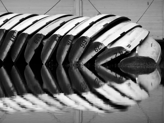 Digital Photography Course - 8 week - West Pymble
