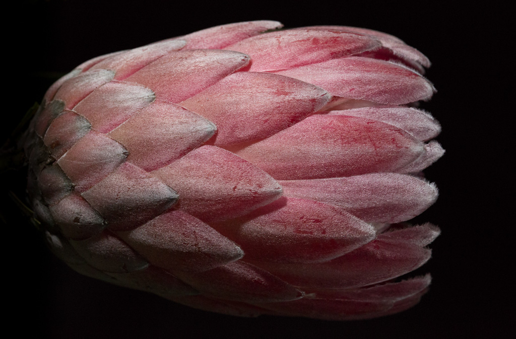 Digital Photography Course - 8 week - West Pymble