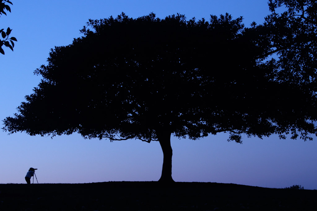 Digital Photography Course - 8 week - West Pymble