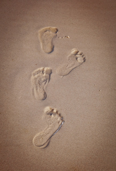 Digital Photography Course - 8 week - West Pymble