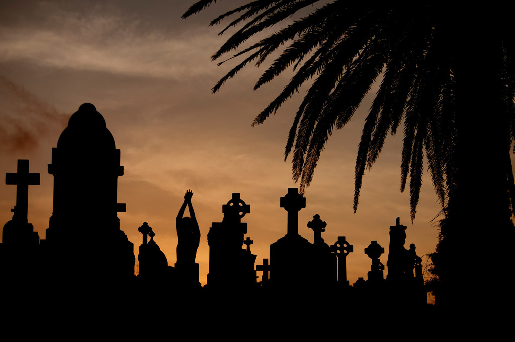 Digital Photography Course - 8 week - West Pymble