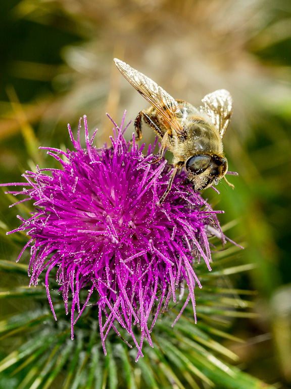 Digital Photography Course - 8 week - West Pymble