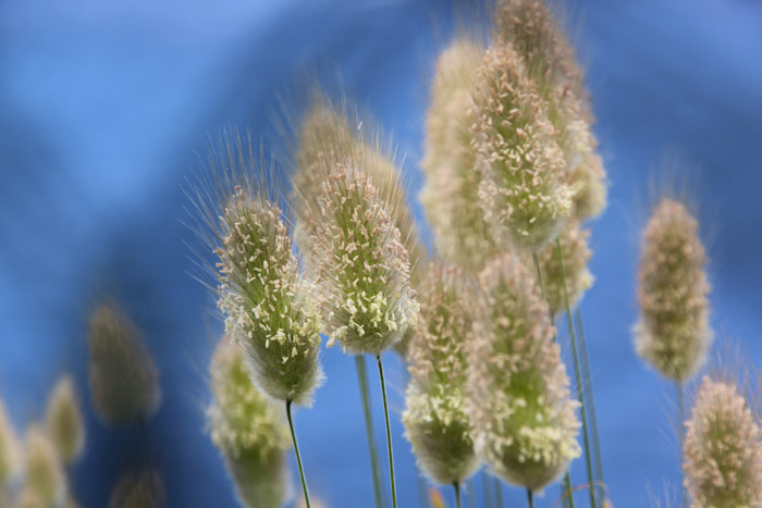 Digital Photography Course - 8 week - West Pymble