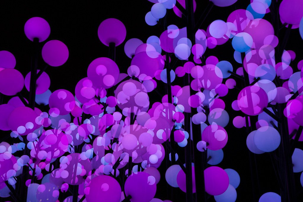 Digital Photography Course - 8 week - West Pymble