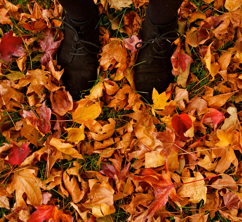 Digital Photography Course - 8 week - West Pymble