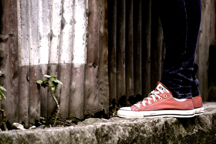 Digital Photography Course - 8 week - Alexandria