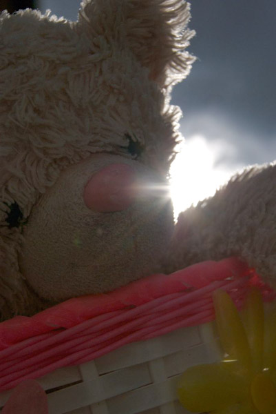 Digital Photography Course - 8 week - West Pymble