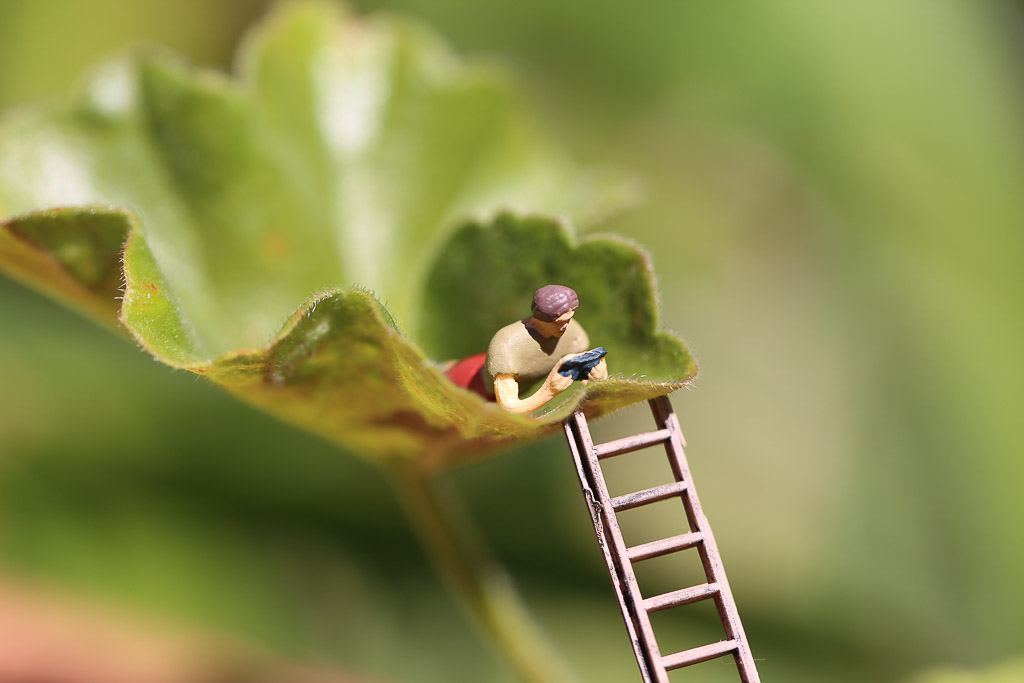 Digital Photography Course - 8 week - West Pymble