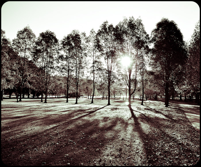 Digital Photography Course - 8 week - Alexandria