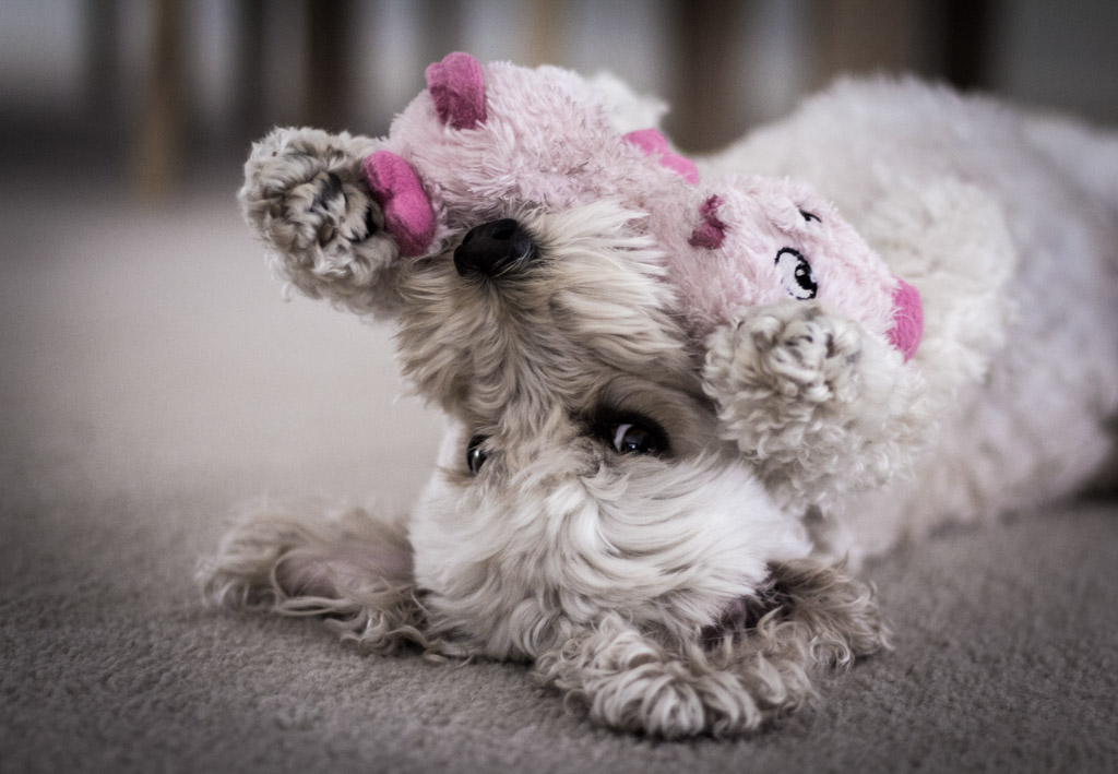 Digital Photography Course - 8 week - West Pymble