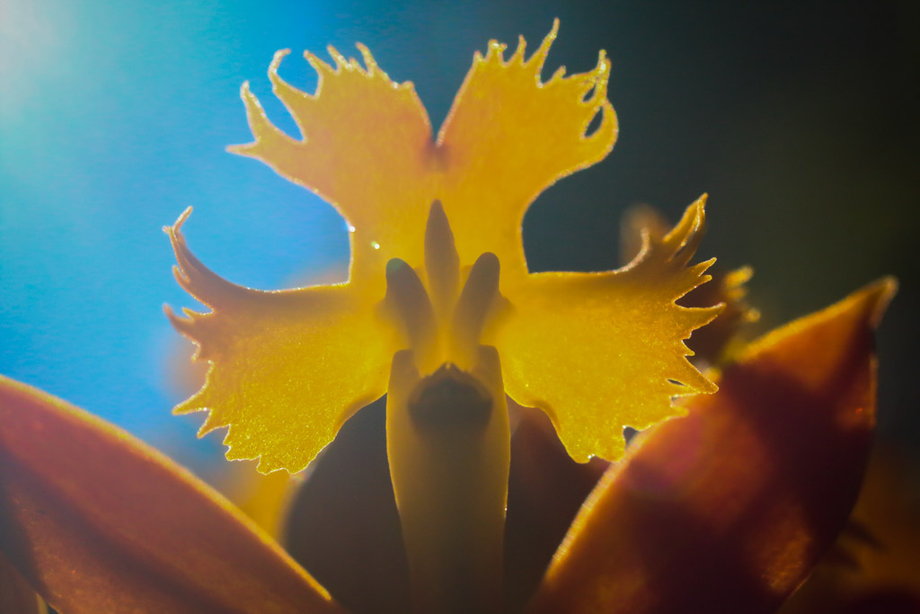 Digital Photography Course - 8 week - West Pymble