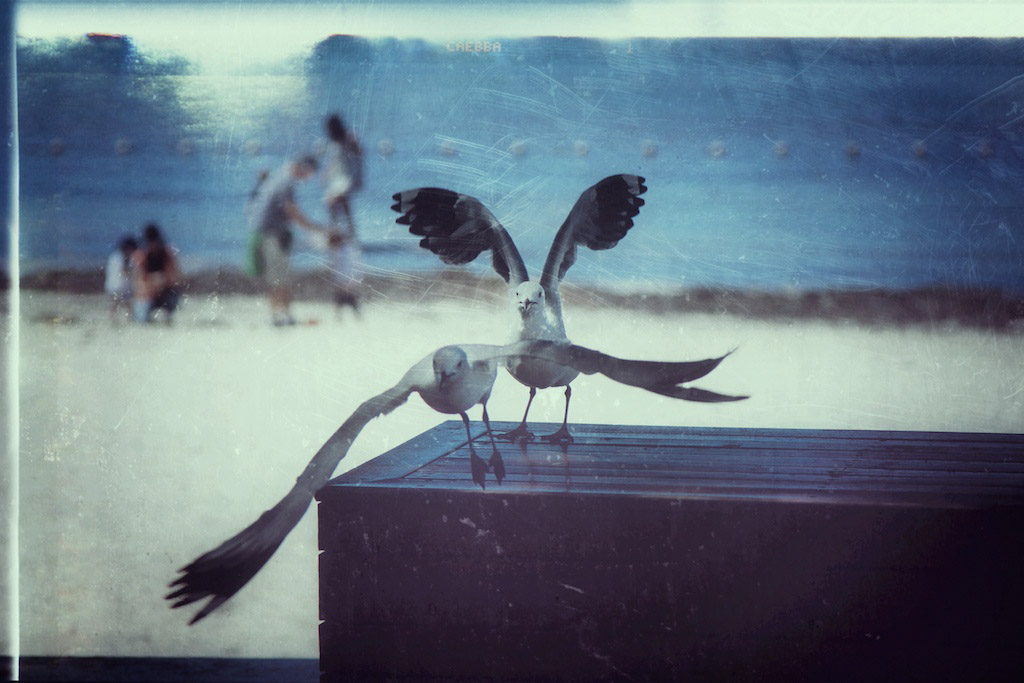 Digital Photography Course - 8 week - West Pymble