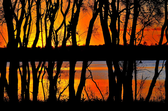 Digital Photography Course - 8 week - West Pymble