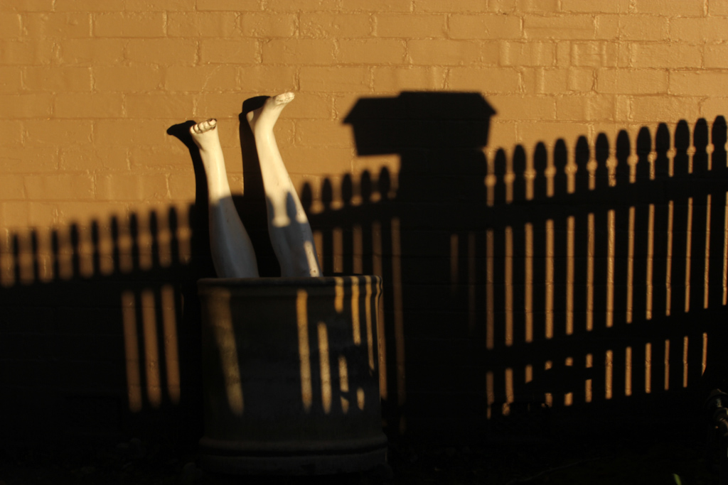 Digital Photography Course - 8 week - West Pymble