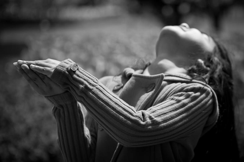 Digital Photography Course - 8 week - Alexandria