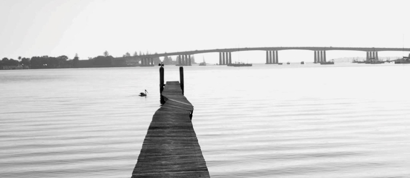 Digital Photography Course - 8 week - Alexandria