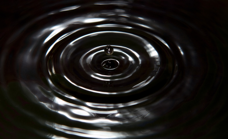Digital Photography Course - 8 week - Alexandria