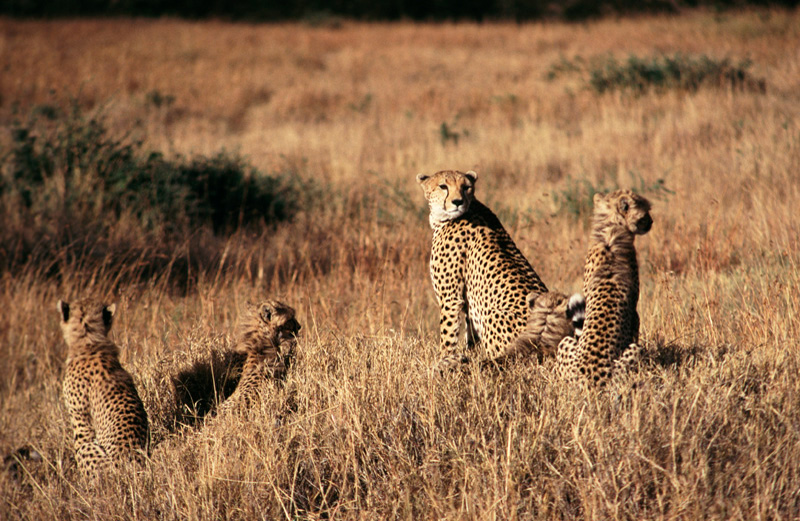 Premium Travel Photography Workshop