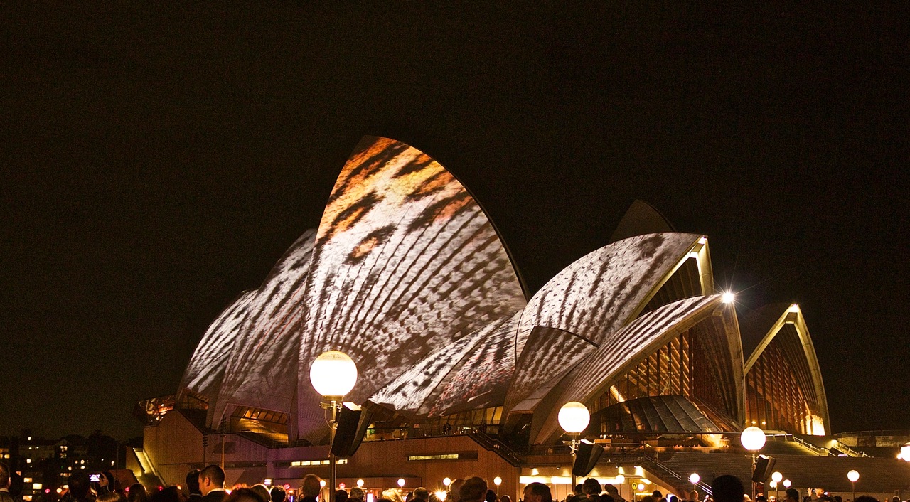 POP-UP - VIVID FESTIVAL - Night Photography Workshop