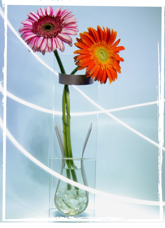 Digital Photography Course - 8 week - Alexandria