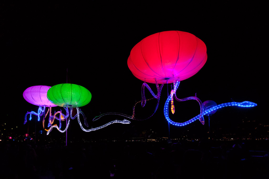 POP-UP - VIVID FESTIVAL - Night Photography Workshop