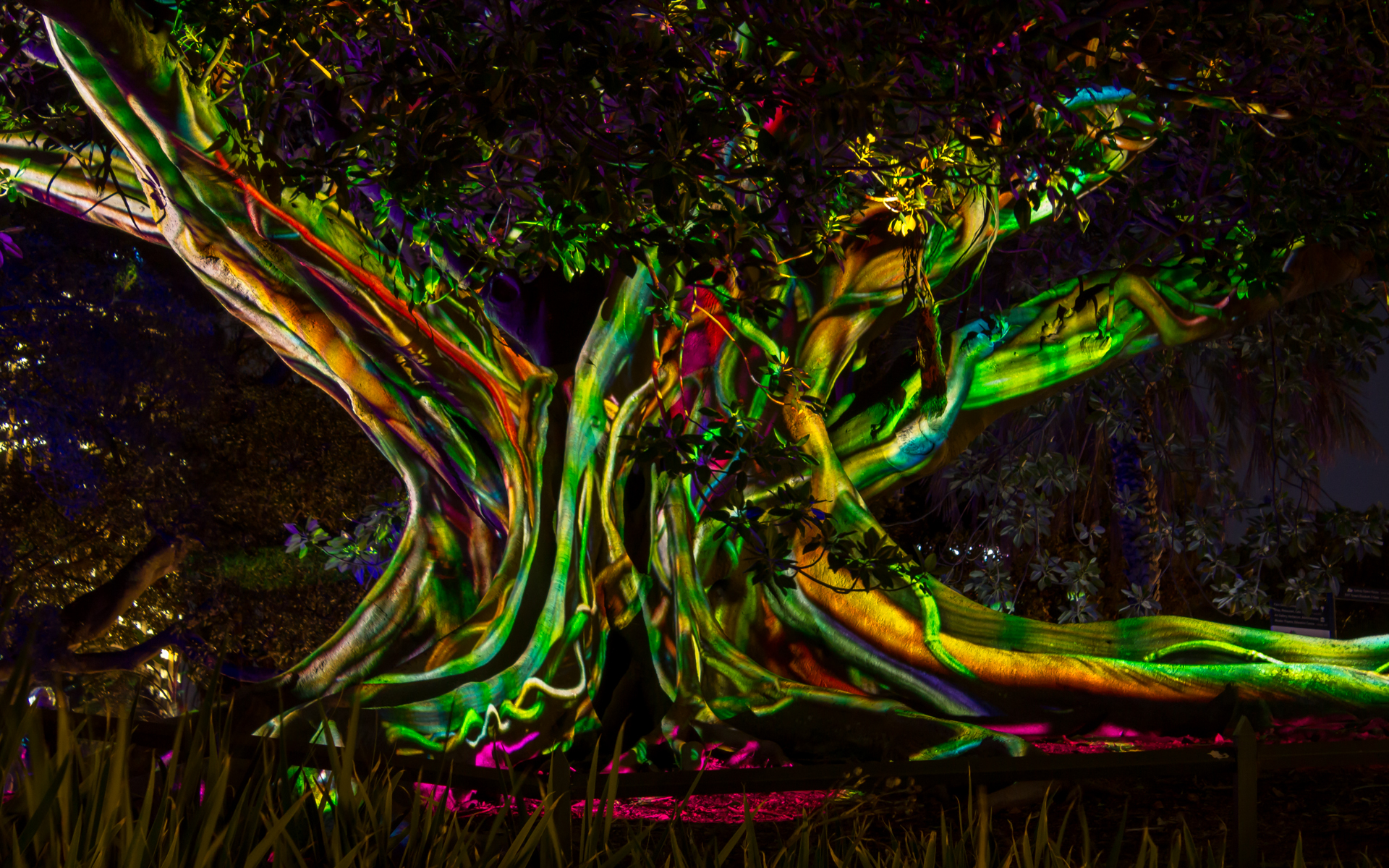 POP-UP - VIVID FESTIVAL - Night Photography Workshop