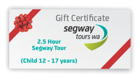 2.5 Hour Gift Voucher (Children 12 - 17yo)