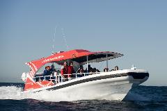 Package: Rottnest Island Adventure Package.  Rottnest Express  + Segway Fortress Adventure Tour, + Adventure Boat.