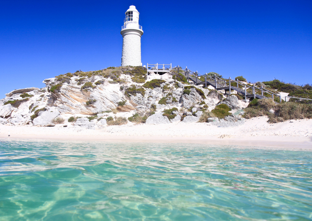 Rottnest: Segway Settlement Explorer Tour