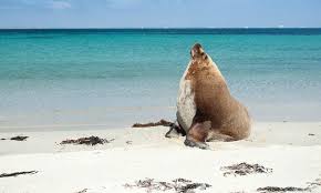 4 Hour Adventure Tour